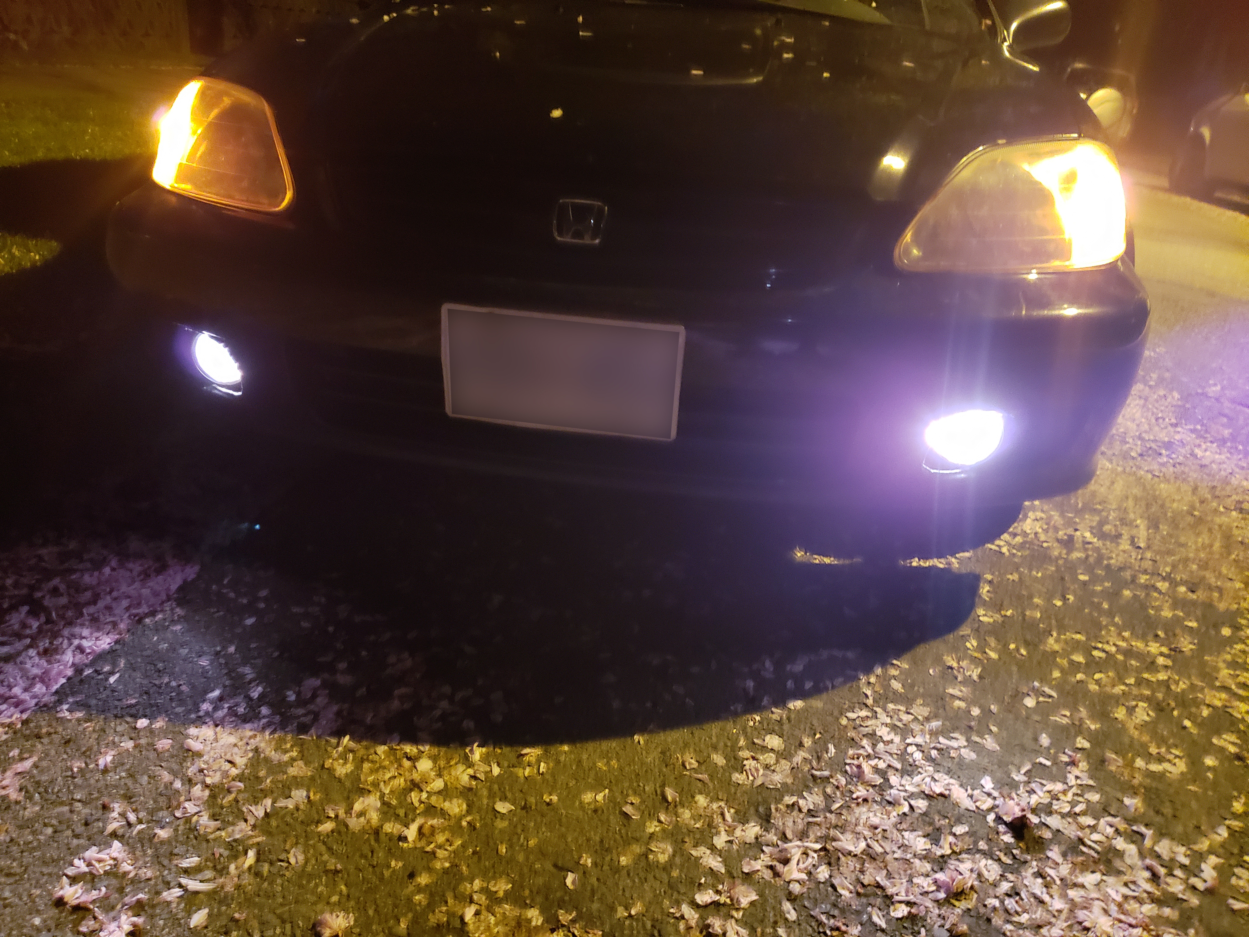 fog lights installed, bumper mounted (fog lights on at night)